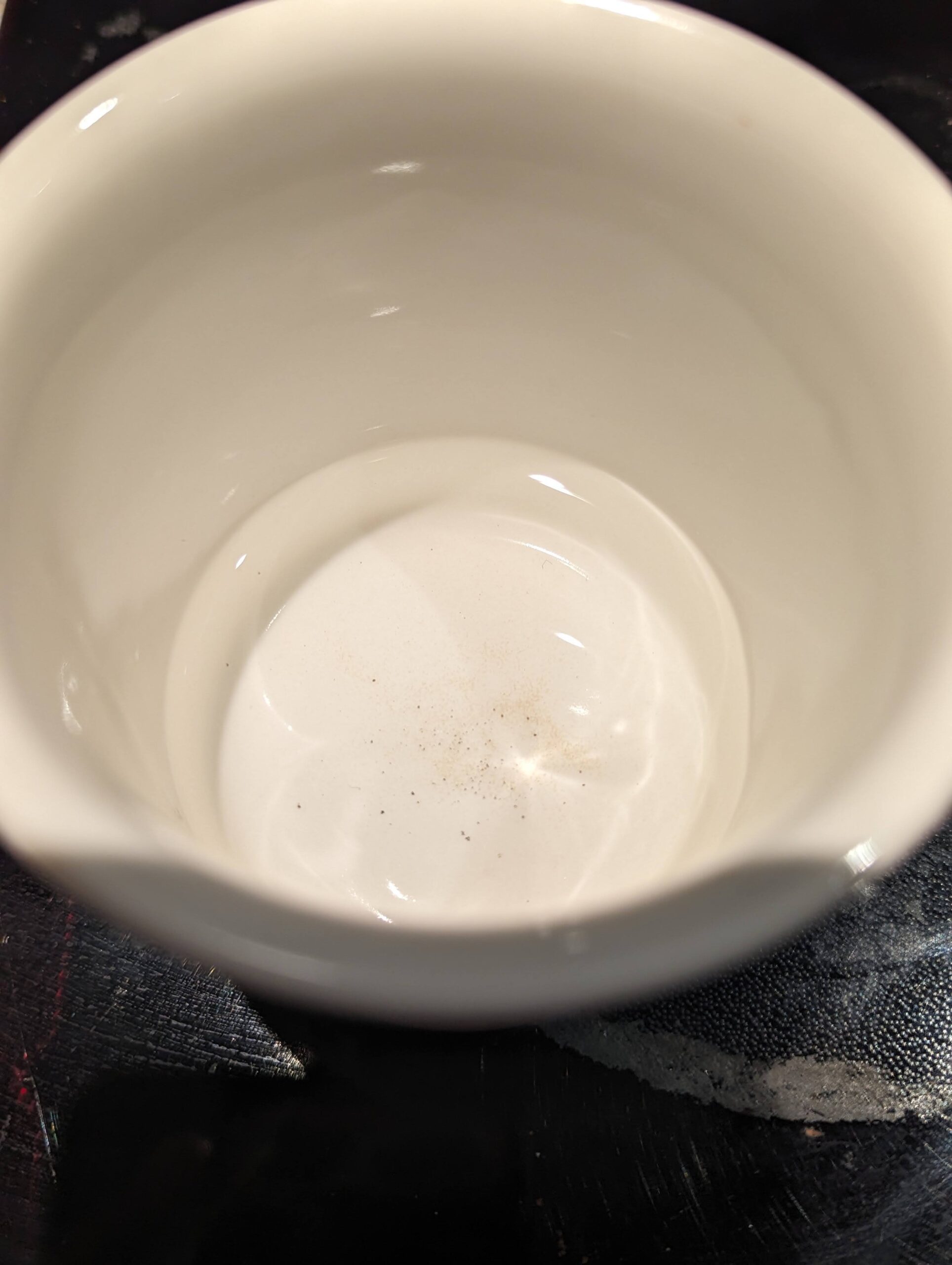 Black Specks in a cup of water from the Gaggia Classic Pro Evo boiler