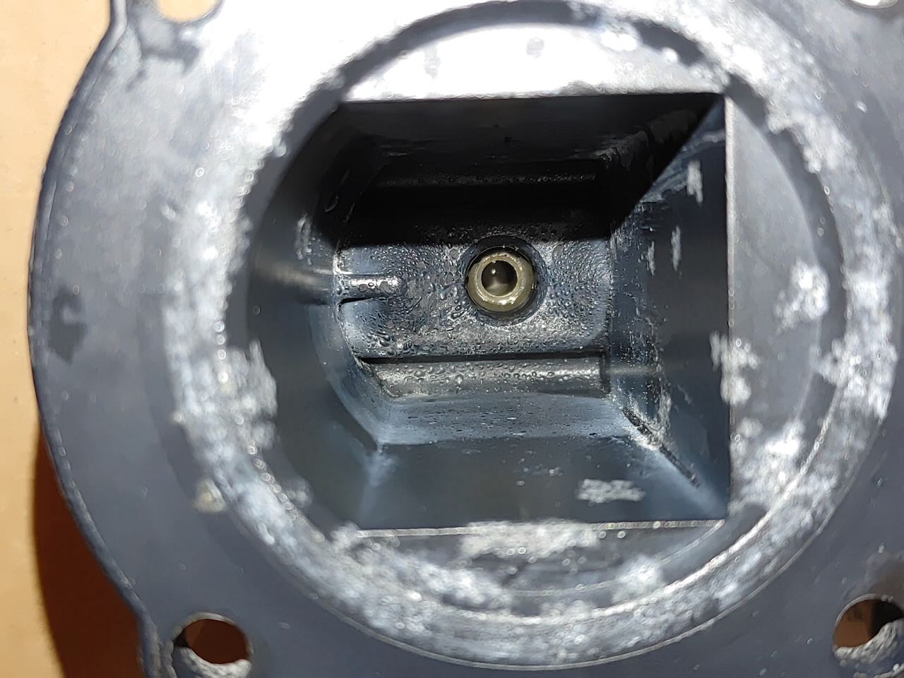 Gaggia Classic Pro Evo Exelia affected coating